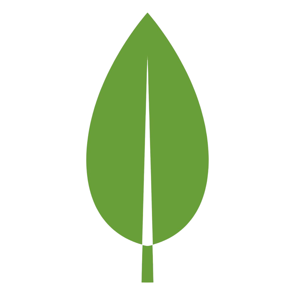 MongoDB