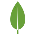 MongoDB